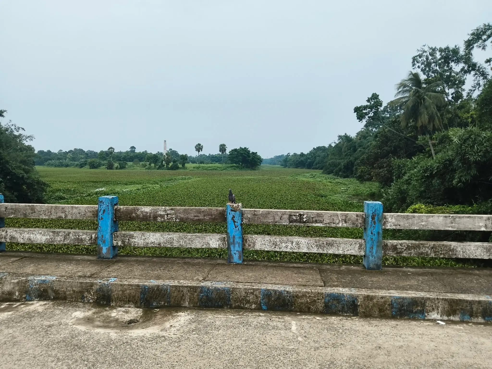 কবি বিভাস রায় চৌধুরী